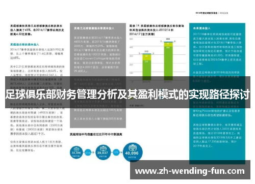 足球俱乐部财务管理分析及其盈利模式的实现路径探讨