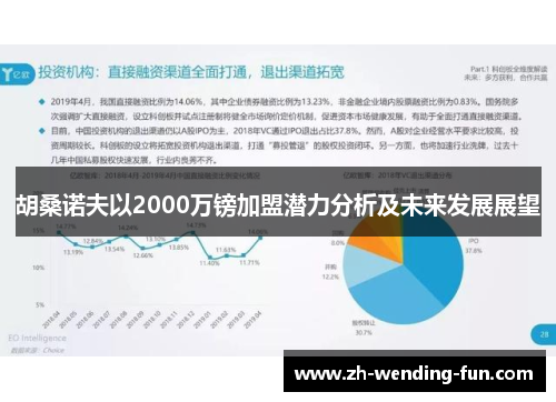 胡桑诺夫以2000万镑加盟潜力分析及未来发展展望 胡桑诺夫以2000万镑加盟潜力分析及未来发展展望