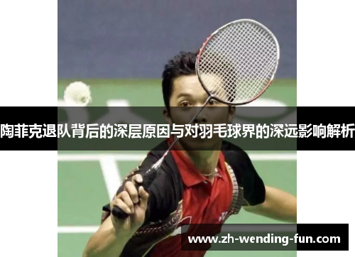 陶菲克退队背后的深层原因与对羽毛球界的深远影响解析 陶菲克退队背后的深层原因与对羽毛球界的深远影响解析